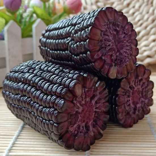 黑糯玉米的热量(黑玉米和黄玉米哪个热量高) 减肥 第1张