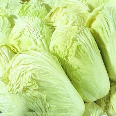 可以生吃的蔬菜有哪些,秋冬蔬菜饮食减肥法 饮食减肥 第5张-瘦瘦减肥网 可以生吃的蔬菜有哪些,秋冬蔬菜饮食减肥法 饮食减肥 第5张