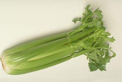 可以生吃的蔬菜有哪些,秋冬蔬菜饮食减肥法 饮食减肥 第4张-瘦瘦减肥网 可以生吃的蔬菜有哪些,秋冬蔬菜饮食减肥法 饮食减肥 第4张