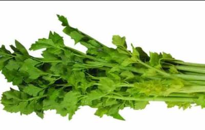 晚上吃什么不会胖，7大食物让你健康放心瘦 饮食减肥 第3张