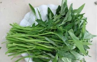 晚上吃什么不会胖，7大食物让你健康放心瘦 饮食减肥 第2张