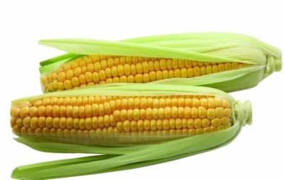 晚上吃什么不会胖，7大食物让你健康放心瘦 饮食减肥 第1张