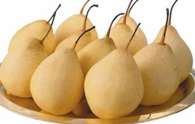 晚上吃什么不会胖，7大食物让你健康放心瘦 饮食减肥 第5张