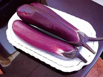 可以生吃的蔬菜有哪些,秋冬蔬菜饮食减肥法 饮食减肥 第6张-瘦瘦减肥网 可以生吃的蔬菜有哪些,秋冬蔬菜饮食减肥法 饮食减肥 第6张