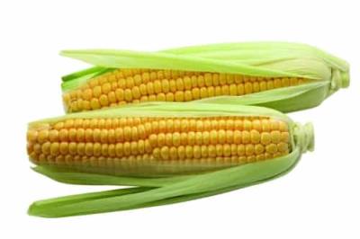 一周健康水果减肥食谱,七天瘦10斤绝不反弹 减肥食谱 第6张-瘦瘦减肥网 一周健康水果减肥食谱,七天瘦10斤绝不反弹 减肥食谱 第6张