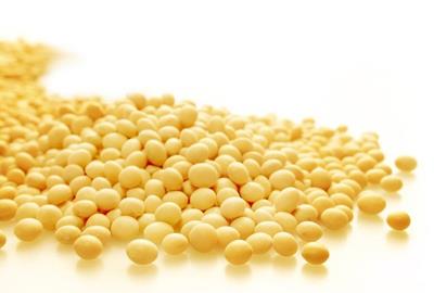 豆制品健康减肥法,吃货也能轻松减肥 饮食减肥 第4张-瘦瘦减肥网 豆制品健康减肥法,吃货也能轻松减肥 饮食减肥 第4张