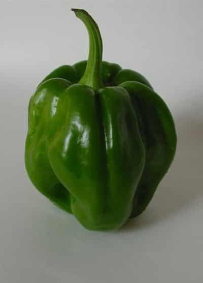 七日减肥汤做法,让你一星期瘦10斤 减肥 第3张-瘦瘦减肥网 七日减肥汤做法,让你一星期瘦10斤 减肥 第3张