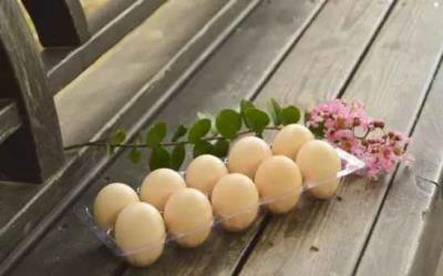 不同血型减肥吃什么好,各种血型减肥食物推荐 饮食减肥 第1张-瘦瘦减肥网 不同血型减肥吃什么好,各种血型减肥食物推荐 饮食减肥 第1张