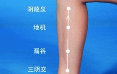 刮痧减肥有效吗,分享针对不同肥胖者的刮痧减肥法 刮痧减肥 第4张-瘦瘦减肥网 刮痧减肥有效吗,分享针对不同肥胖者的刮痧减肥法 刮痧减肥 第4张