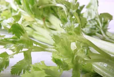 春季减肥食物有哪些，怎样吃的养生又减肥 饮食减肥 第6张