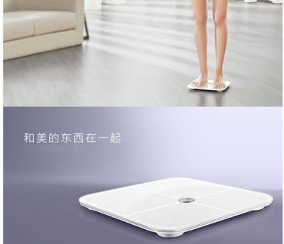 智能体重秤什么牌子好