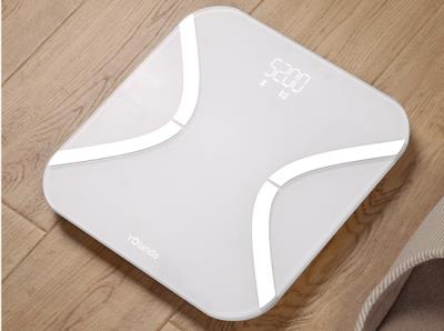 智能体重秤什么牌子好