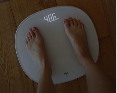 智能体重秤什么牌子好