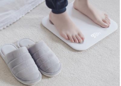 智能体重秤什么牌子好