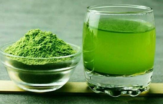 喝青汁五大危害(喝青汁好吗) 减肥 第1张-瘦瘦减肥网 喝青汁五大危害(喝青汁好吗) 减肥 第1张