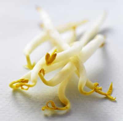 快速减肥蔬菜汤的做法 快速减肥 第2张-瘦瘦减肥网 快速减肥蔬菜汤的做法 快速减肥 第2张