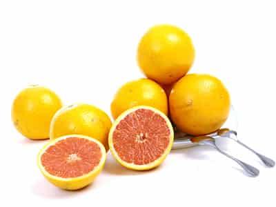 初秋吃什么水果蔬菜减肥最快,饮食减肥秘籍 减肥蔬菜 第1张-瘦瘦减肥网 初秋吃什么水果蔬菜减肥最快,饮食减肥秘籍 减肥蔬菜 第1张