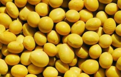 不可错过的五款食醋减肥食谱,健康减肥不用愁 减肥食谱 第2张-瘦瘦减肥网 不可错过的五款食醋减肥食谱,健康减肥不用愁 减肥食谱 第2张