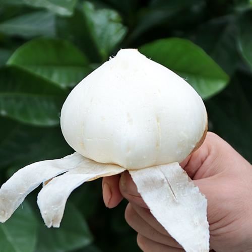 白地瓜的副作用(白地瓜的营养功效与作用) 减肥 第2张-瘦瘦减肥网 白地瓜的副作用(白地瓜的营养功效与作用) 减肥 第2张