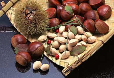 夏日快速减肥小偏方,超有效很科学并且健康 快速减肥 第4张-瘦瘦减肥网 夏日快速减肥小偏方,超有效很科学并且健康 快速减肥 第4张