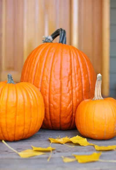 冬季女生减肥食物大综合,教你如何制定减肥计划 减肥 第8张-瘦瘦减肥网 冬季女生减肥食物大综合,教你如何制定减肥计划 减肥 第8张