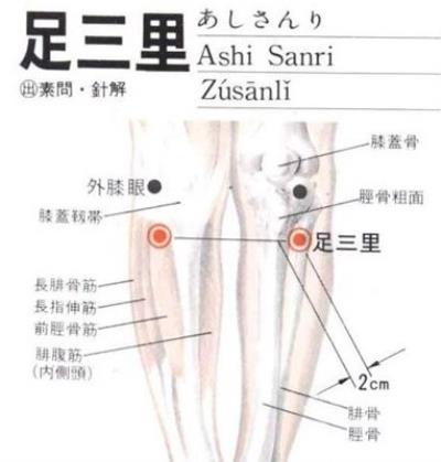 超实用穴位减肥方法,快速恢复苗条身材 减肥 第5张-瘦瘦减肥网 超实用穴位减肥方法,快速恢复苗条身材 减肥 第5张