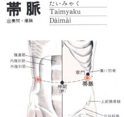 超实用穴位减肥方法,快速恢复苗条身材 减肥 第1张-瘦瘦减肥网 超实用穴位减肥方法,快速恢复苗条身材 减肥 第1张