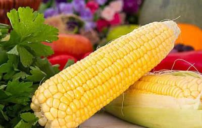 吃玉米可以减肥吗,减肥主食玉米你得会吃 饮食减肥 第1张-瘦瘦减肥网 吃玉米可以减肥吗,减肥主食玉米你得会吃 饮食减肥 第1张