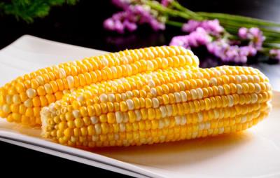 吃玉米可以减肥吗,减肥主食玉米你得会吃 饮食减肥 第3张-瘦瘦减肥网 吃玉米可以减肥吗,减肥主食玉米你得会吃 饮食减肥 第3张