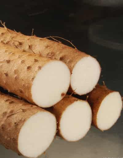 秋季减肥养生食谱，教你秋季怎样减肥 减肥食谱 第5张