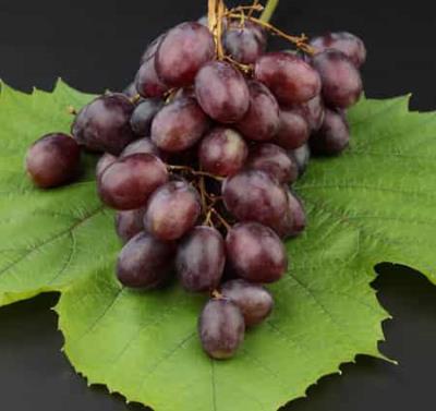 吃葡萄干能减肥吗,夏季一周减肥食谱推荐 减肥食谱 第7张-瘦瘦减肥网 吃葡萄干能减肥吗,夏季一周减肥食谱推荐 减肥食谱 第7张