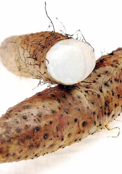 秋季减肥养生食谱，教你秋季怎样减肥 减肥食谱 第4张