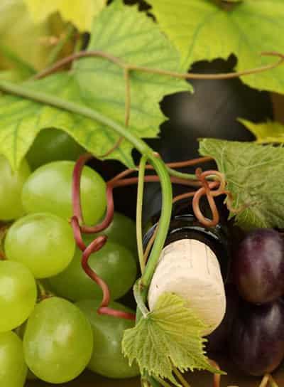 吃葡萄干能减肥吗,夏季一周减肥食谱推荐 减肥食谱 第5张-瘦瘦减肥网 吃葡萄干能减肥吗,夏季一周减肥食谱推荐 减肥食谱 第5张