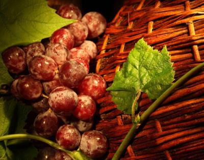 吃葡萄干能减肥吗,夏季一周减肥食谱推荐 减肥食谱 第1张-瘦瘦减肥网 吃葡萄干能减肥吗,夏季一周减肥食谱推荐 减肥食谱 第1张