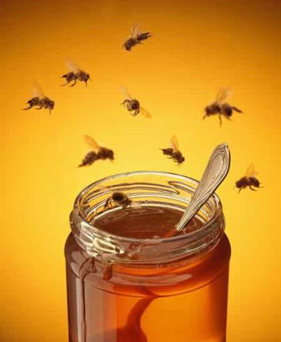 三天蜂蜜苹果酸奶减肥法，无法想象瘦到你尖叫 减肥方法 第5张