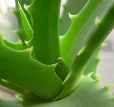 冬季如何快速健康减肥,推荐最有效甩脂减肥法 减肥方法 第5张-瘦瘦减肥网 冬季如何快速健康减肥,推荐最有效甩脂减肥法 减肥方法 第5张