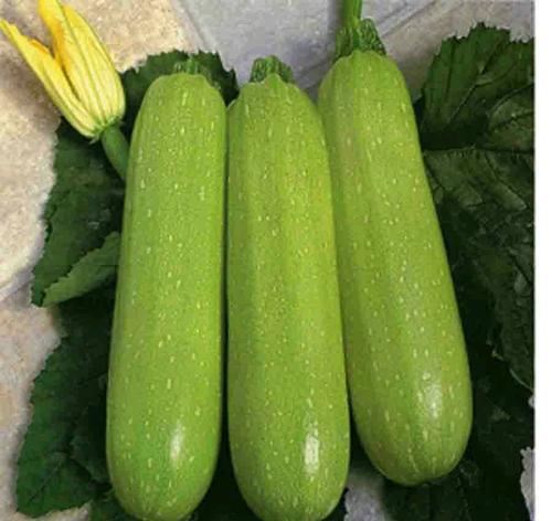 地葫芦的营养价值(葫芦的药用价值和营养价值) 减肥 第2张-瘦瘦减肥网 地葫芦的营养价值(葫芦的药用价值和营养价值) 减肥 第2张