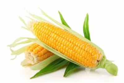 玉米健康减肥食谱,快速减肥不反弹 快速减肥 第1张-瘦瘦减肥网 玉米健康减肥食谱,快速减肥不反弹 快速减肥 第1张