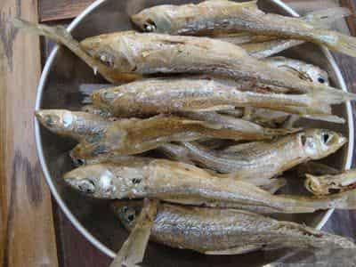 简单有效的瘦脸方法,推荐八种健康瘦脸的食物 瘦脸 第5张-瘦瘦减肥网 简单有效的瘦脸方法,推荐八种健康瘦脸的食物 瘦脸 第5张