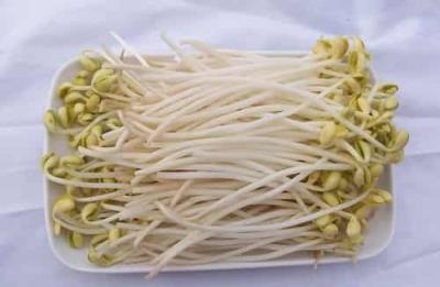 简单有效的瘦脸方法,推荐八种健康瘦脸的食物 瘦脸 第6张-瘦瘦减肥网 简单有效的瘦脸方法,推荐八种健康瘦脸的食物 瘦脸 第6张