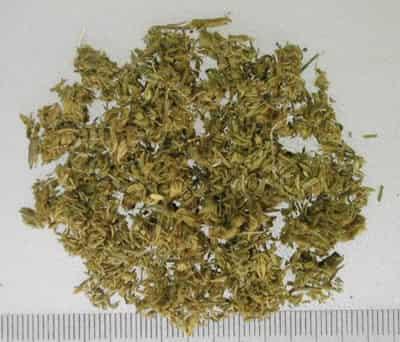 自制冬季中药减肥茶,排毒养颜甩脂掉肉绝不反弹 减肥饮品 第1张-瘦瘦减肥网 自制冬季中药减肥茶,排毒养颜甩脂掉肉绝不反弹 减肥饮品 第1张