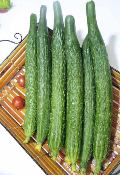 8种有利于秋季减肥食物推荐 减肥 第6张-瘦瘦减肥网 8种有利于秋季减肥食物推荐 减肥 第6张