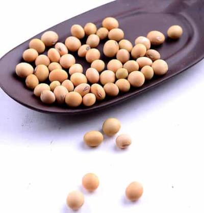 8种有利于秋季减肥食物推荐 减肥 第4张-瘦瘦减肥网 8种有利于秋季减肥食物推荐 减肥 第4张