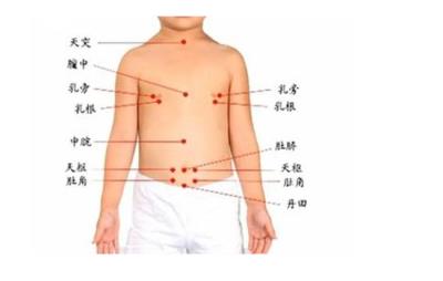 拔罐减肥的位置图,3个部位穴位拔罐减肥 拔罐减肥 第2张-瘦瘦减肥网 拔罐减肥的位置图,3个部位穴位拔罐减肥 拔罐减肥 第2张