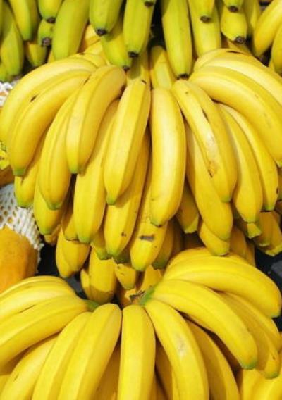 10种减肥蔬菜水果解决下半身肥胖 关于肥胖 第2张-瘦瘦减肥网 10种减肥蔬菜水果解决下半身肥胖 关于肥胖 第2张