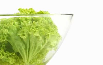 什么蔬菜适合夏秋季刮脂减肥，一周吃出好身材 饮食减肥 第1张