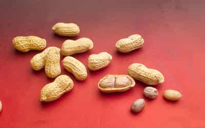 胖人吃花生能减肥吗，教你吃花生减肥妙法 饮食减肥 第4张
