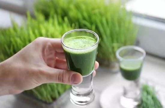 中国十大青汁牌子(青汁什么牌子的好一点) 减肥 第2张-瘦瘦减肥网 中国十大青汁牌子(青汁什么牌子的好一点) 减肥 第2张