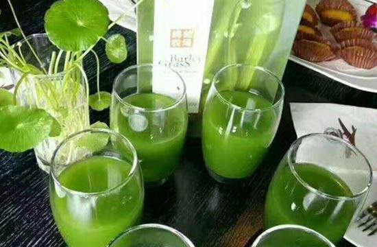 中国十大青汁牌子(青汁什么牌子的好一点) 减肥 第1张-瘦瘦减肥网 中国十大青汁牌子(青汁什么牌子的好一点) 减肥 第1张