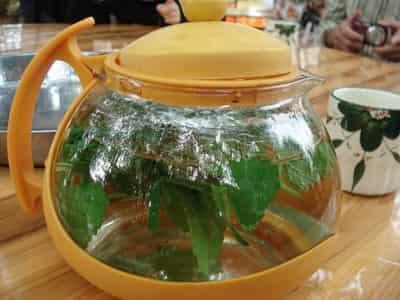 科学减肥花茶，喝水也能清脂肪 减肥饮品 第7张